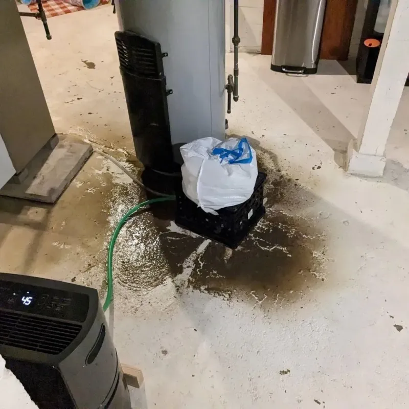 Sewage Backup Cleanup Service in Sunnyside, WA